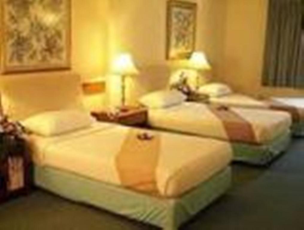 Hotel Hans International New Delhi Ruang foto